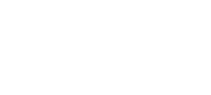 Napoleon-Grills-Logo