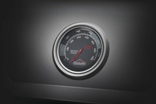 feat-freestyle-carbon-design-temperature-gauge