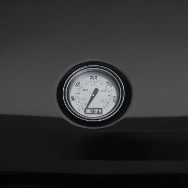 prod_Lumin_Thermometer_Black_C_1800x1800_(1)_800